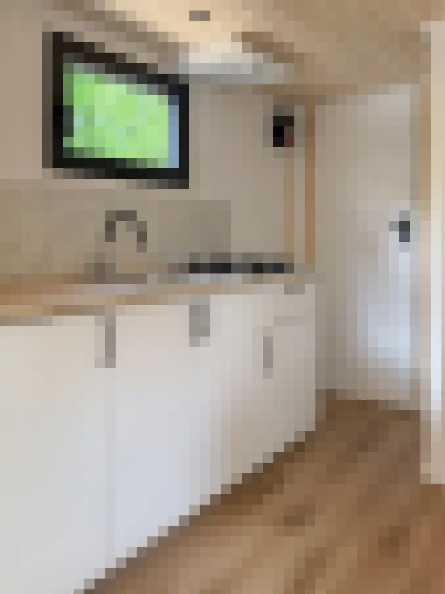 Verlengde Haerderweg 5 R P12 Doornspijk thumbnail 8