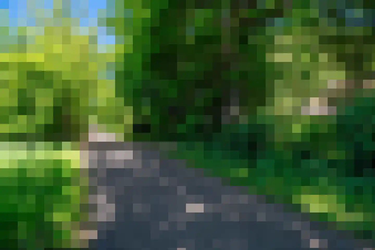 Verlengde Havinga's reed 3 Grootegast thumbnail 10