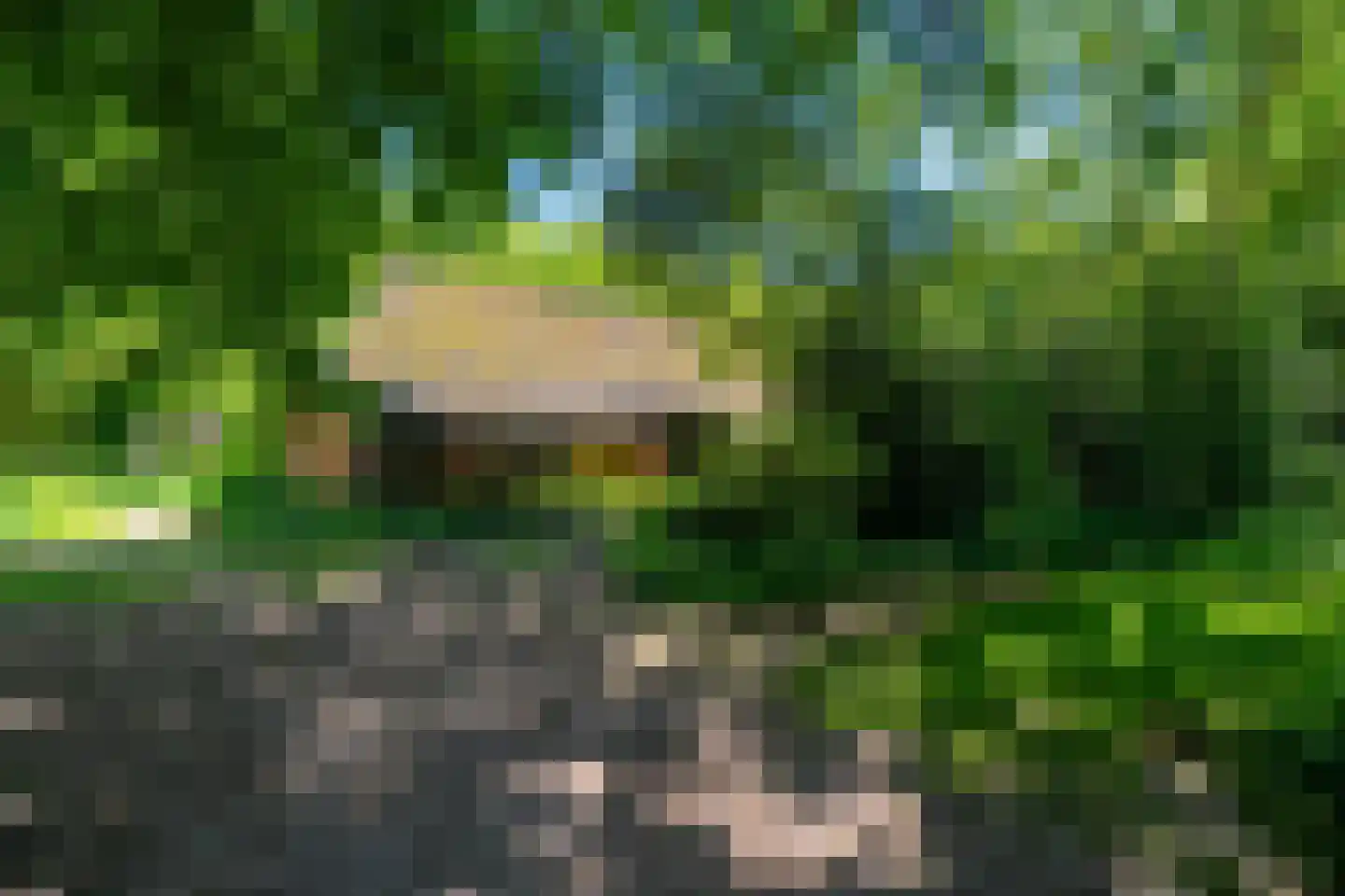 Verlengde Havinga's reed 3 Grootegast thumbnail 11