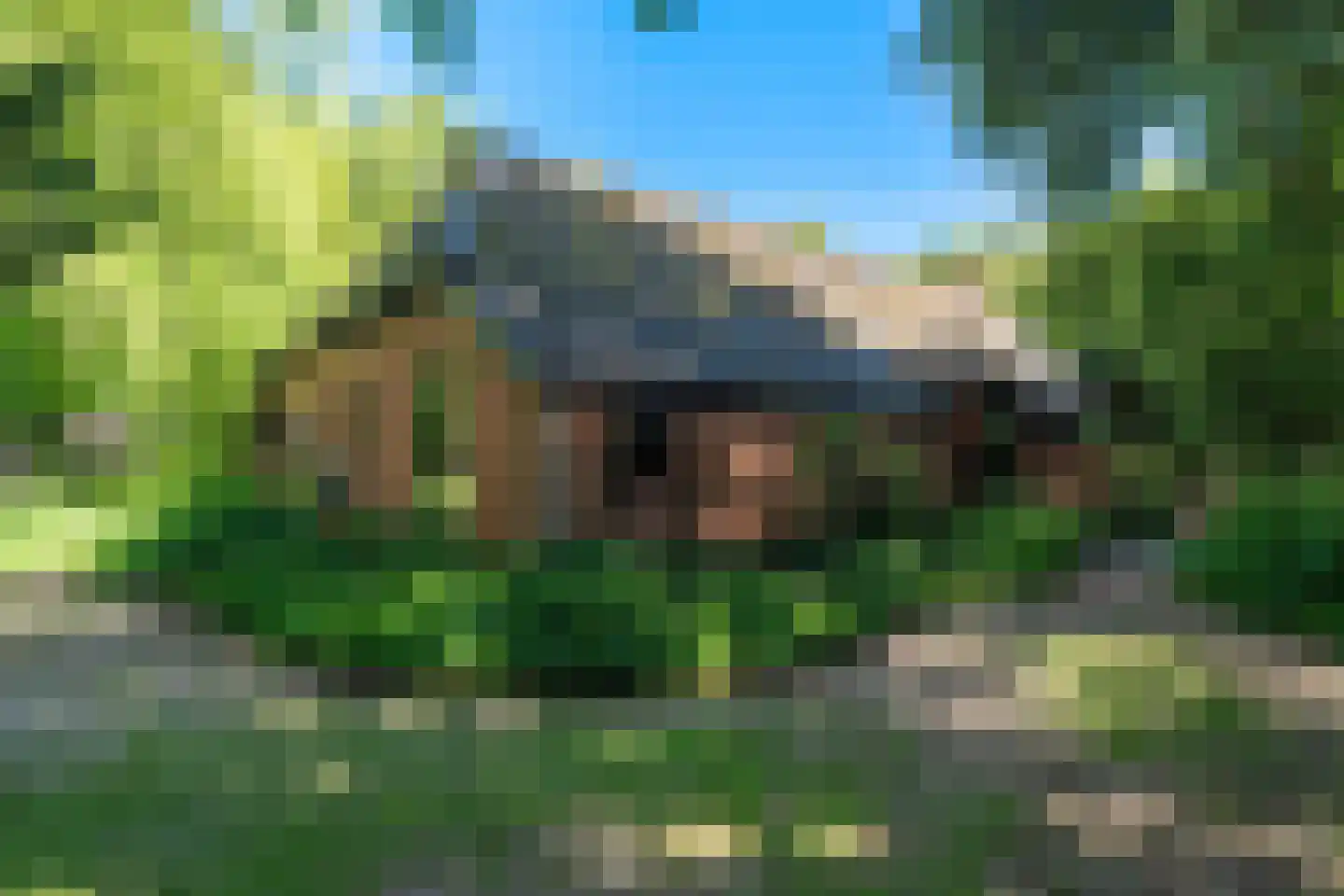 Verlengde Havinga's reed 3 Grootegast thumbnail 12