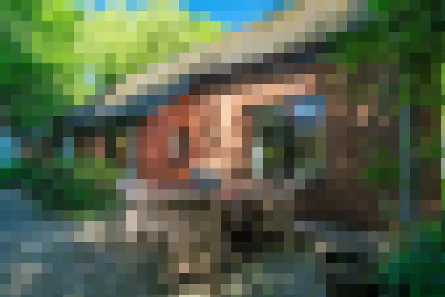 Verlengde Havinga's reed 3 Grootegast thumbnail 13