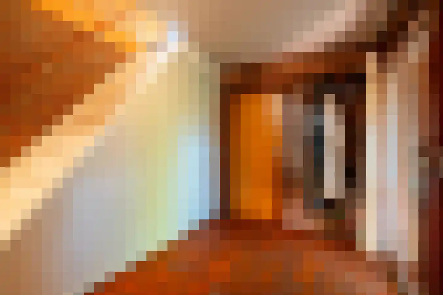 Verlengde Havinga's reed 3 Grootegast thumbnail 17