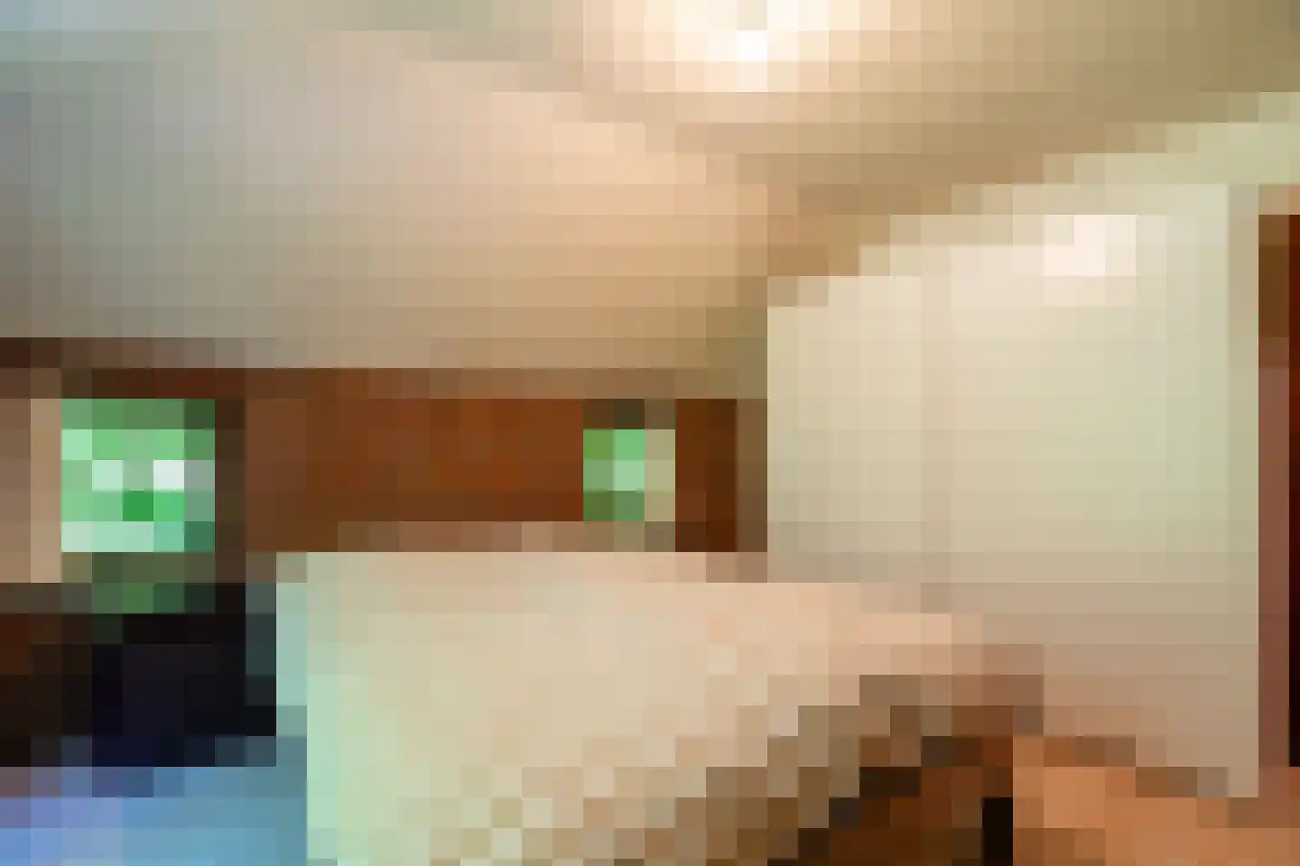 Verlengde Havinga's reed 3 Grootegast thumbnail 38