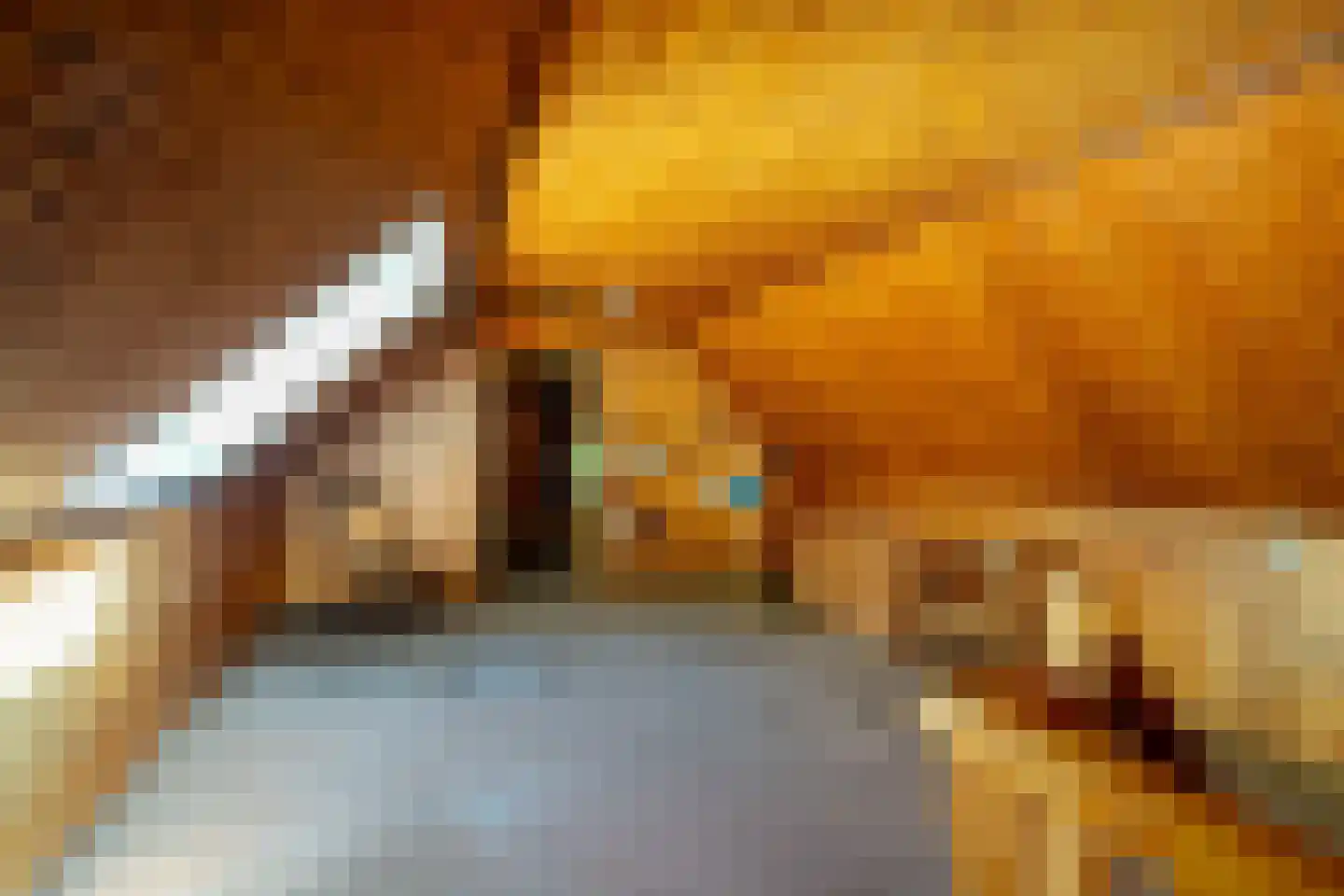 Verlengde Havinga's reed 3 Grootegast thumbnail 45