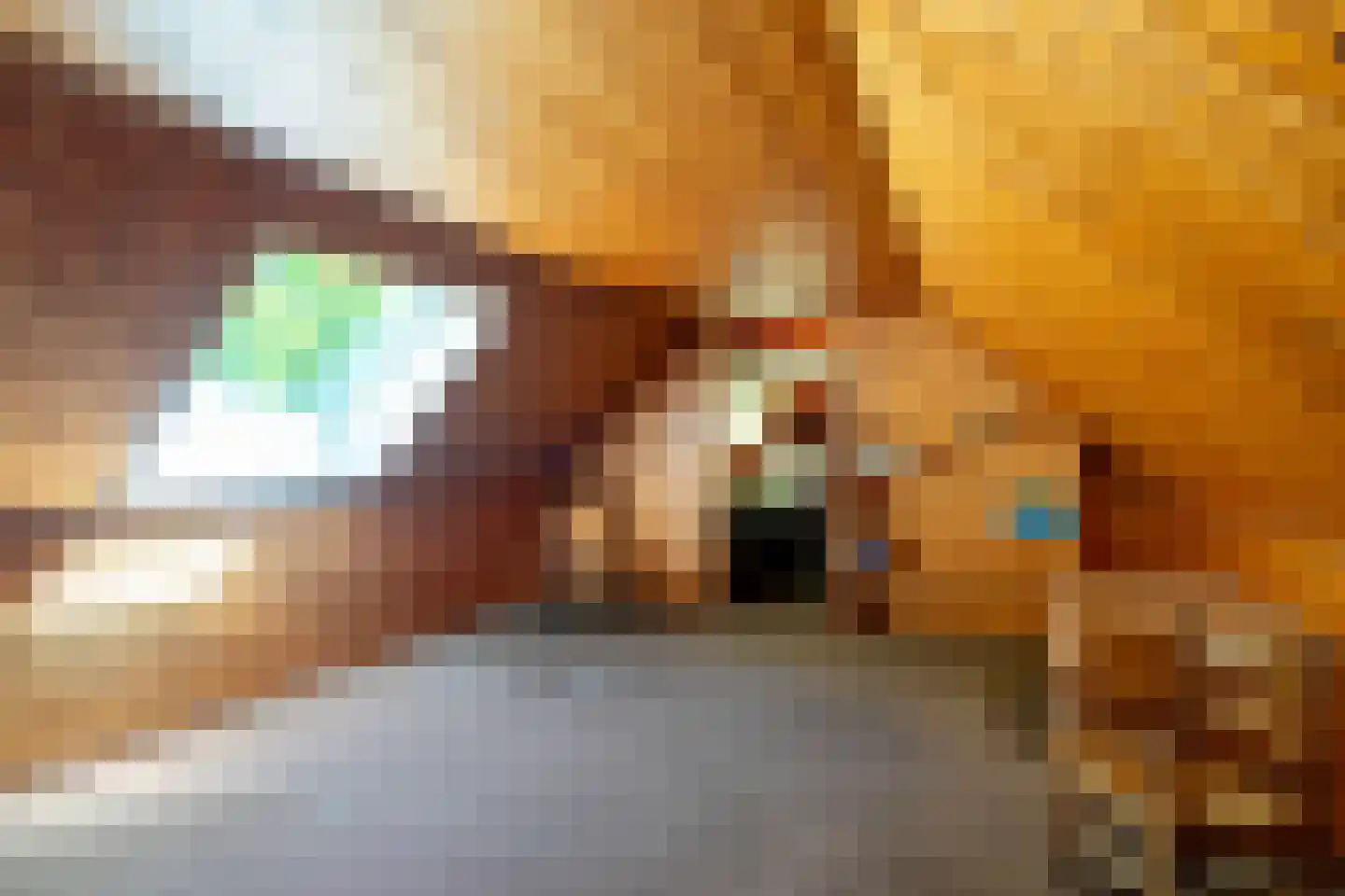 Verlengde Havinga's reed 3 Grootegast thumbnail 46