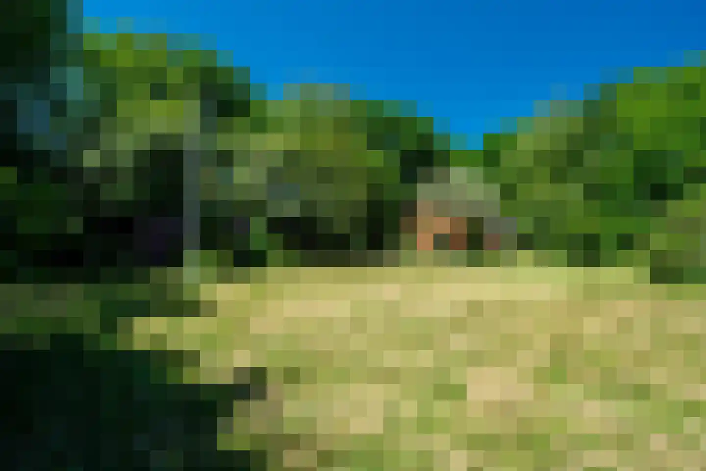 Verlengde Havinga's reed 3 Grootegast thumbnail 5