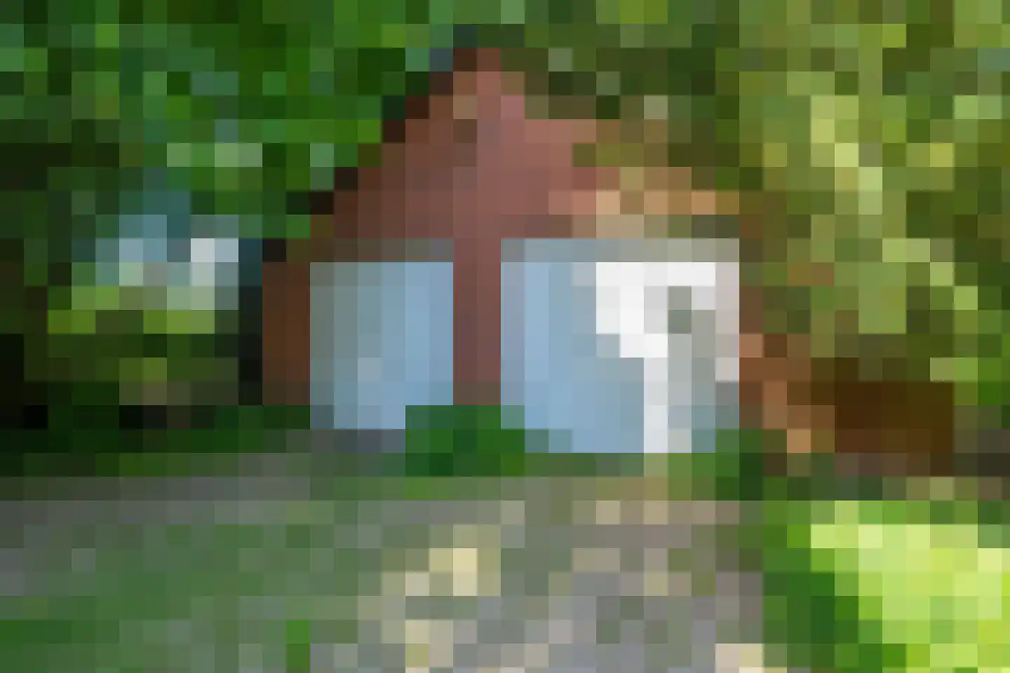 Verlengde Havinga's reed 3 Grootegast thumbnail 53