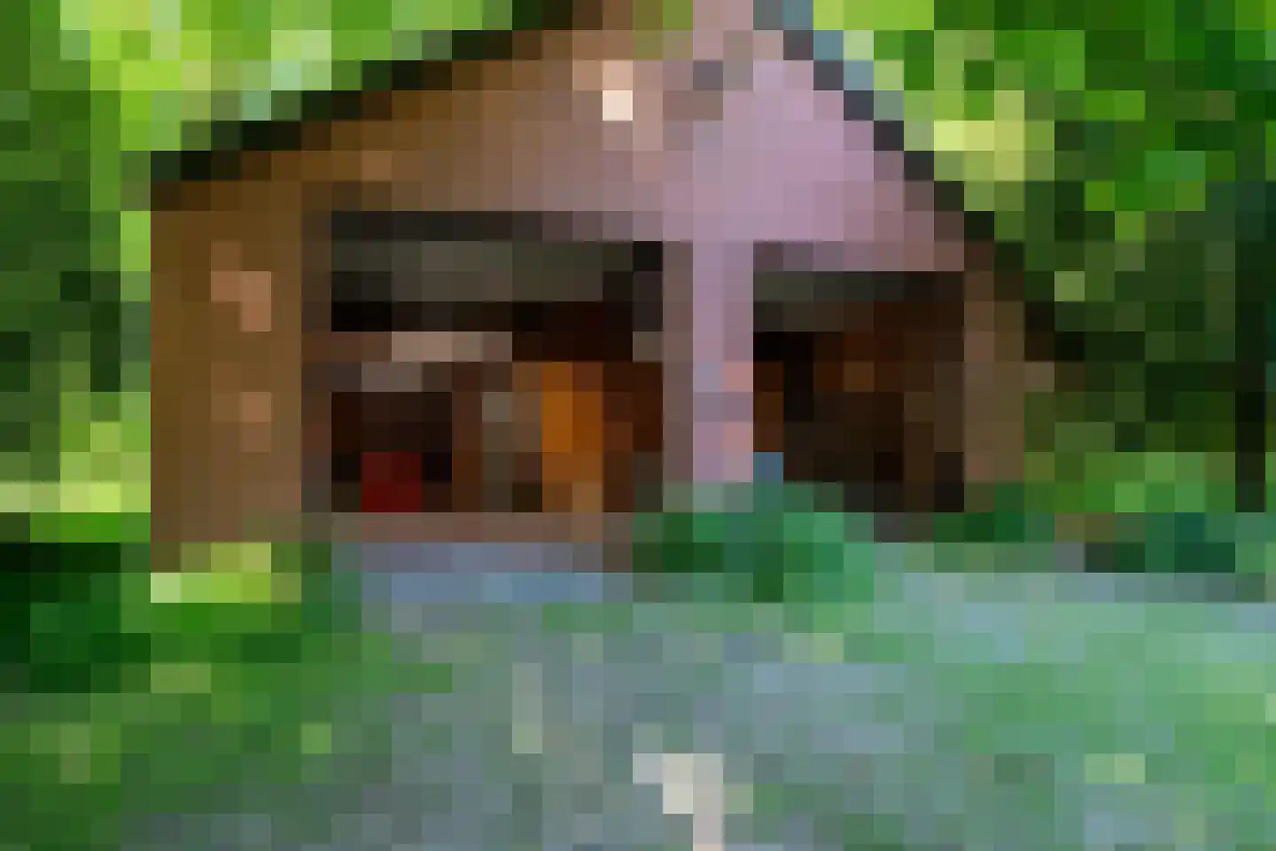 Verlengde Havinga's reed 3 Grootegast thumbnail 56