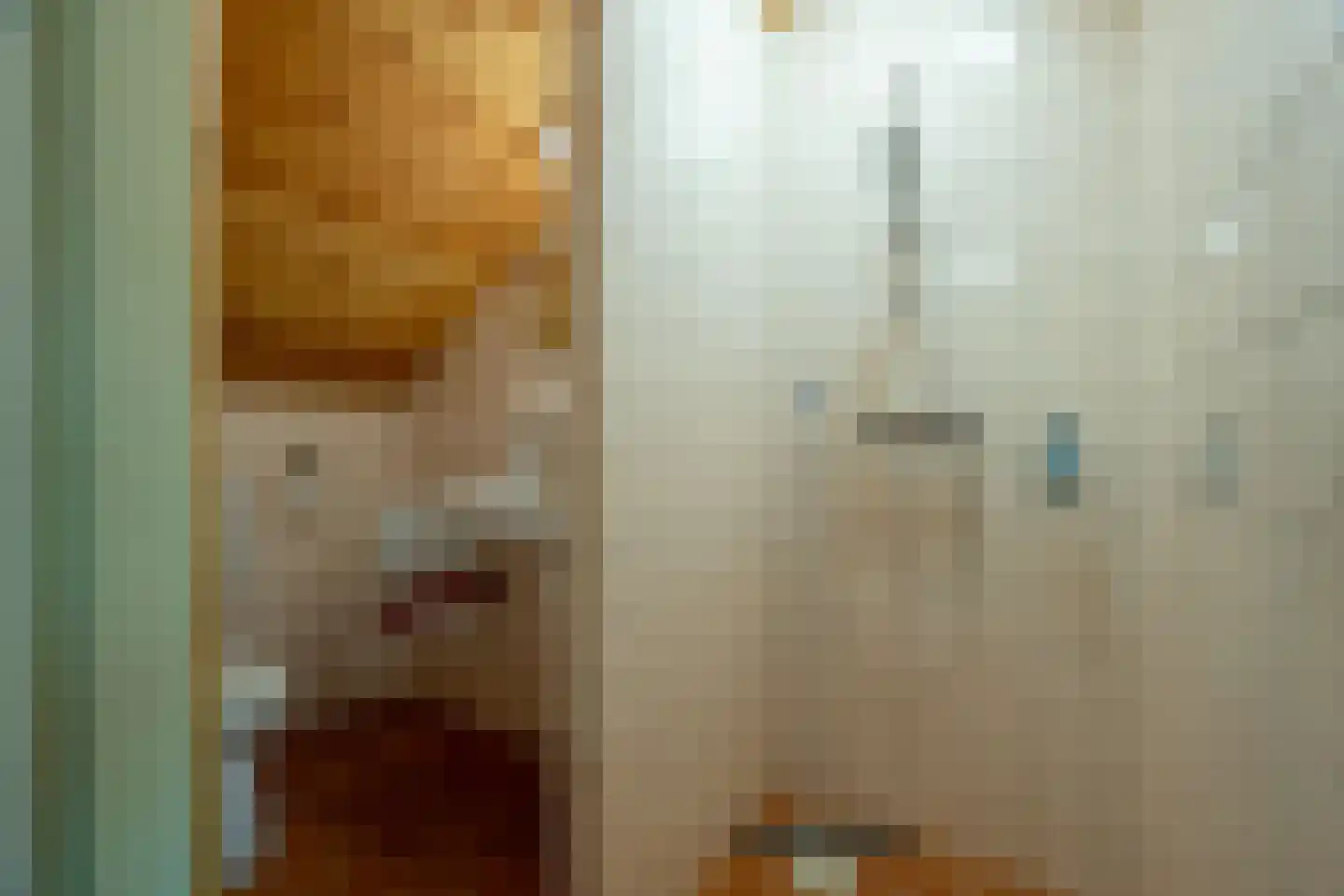 Verlengde Havinga's reed 3 Grootegast thumbnail 69