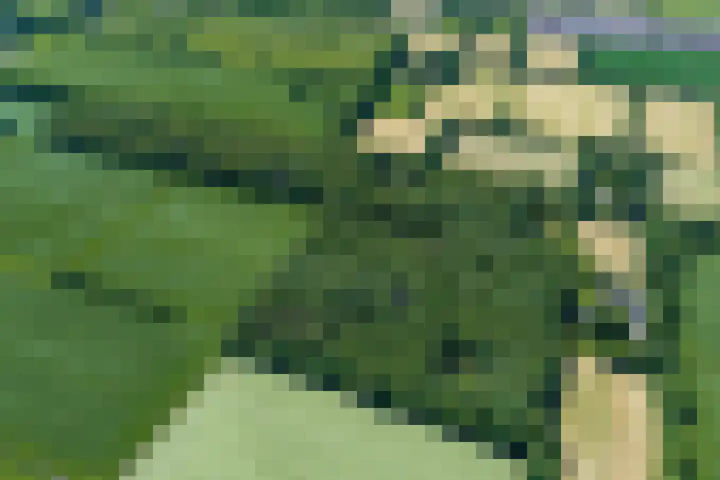 Verlengde Havinga's reed 3 Grootegast thumbnail 7