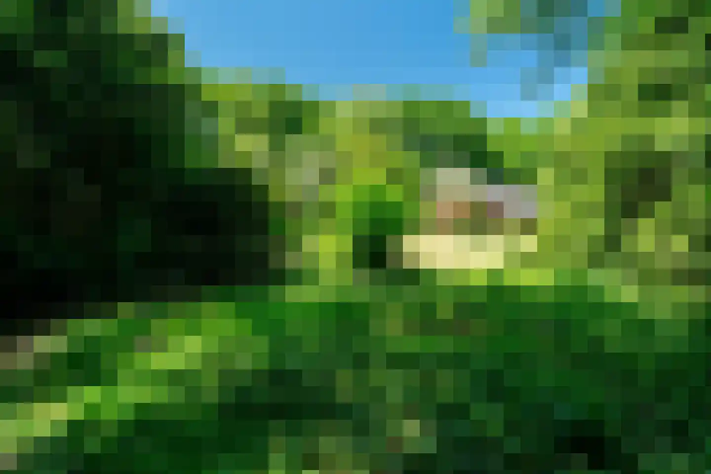 Verlengde Havinga's reed 3 Grootegast thumbnail 70