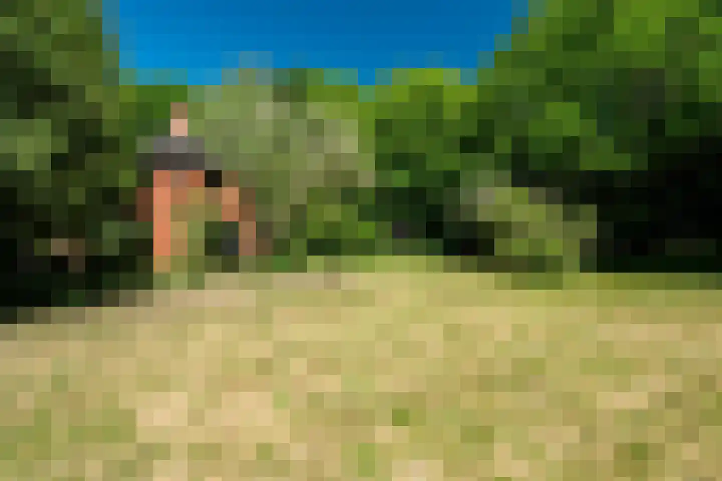Verlengde Havinga's reed 3 Grootegast thumbnail 71