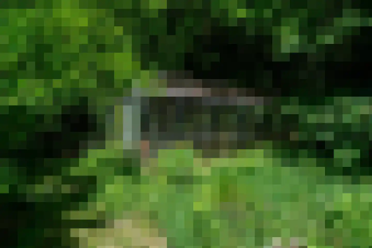 Verlengde Havinga's reed 3 Grootegast thumbnail 72