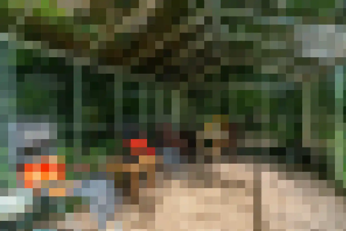 Verlengde Havinga's reed 3 Grootegast thumbnail 73