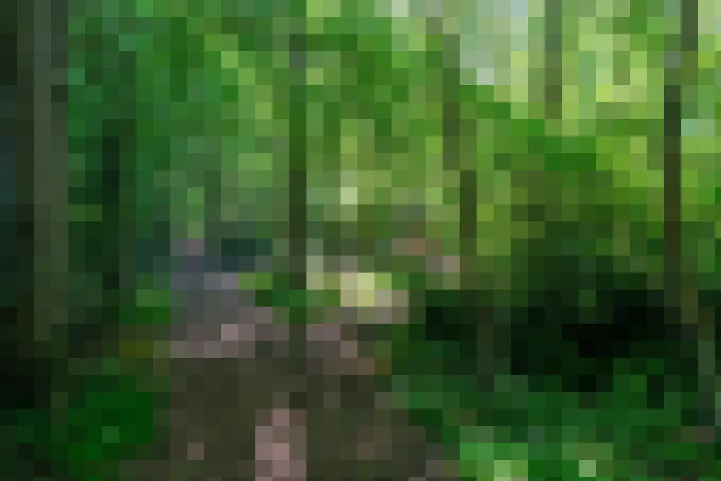 Verlengde Havinga's reed 3 Grootegast thumbnail 74