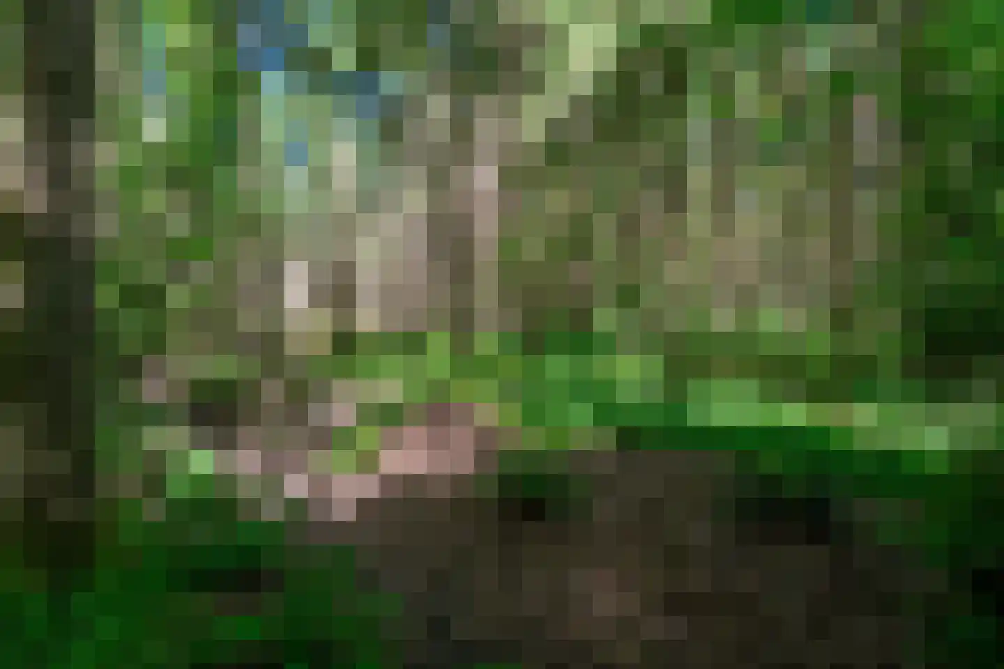 Verlengde Havinga's reed 3 Grootegast thumbnail 75