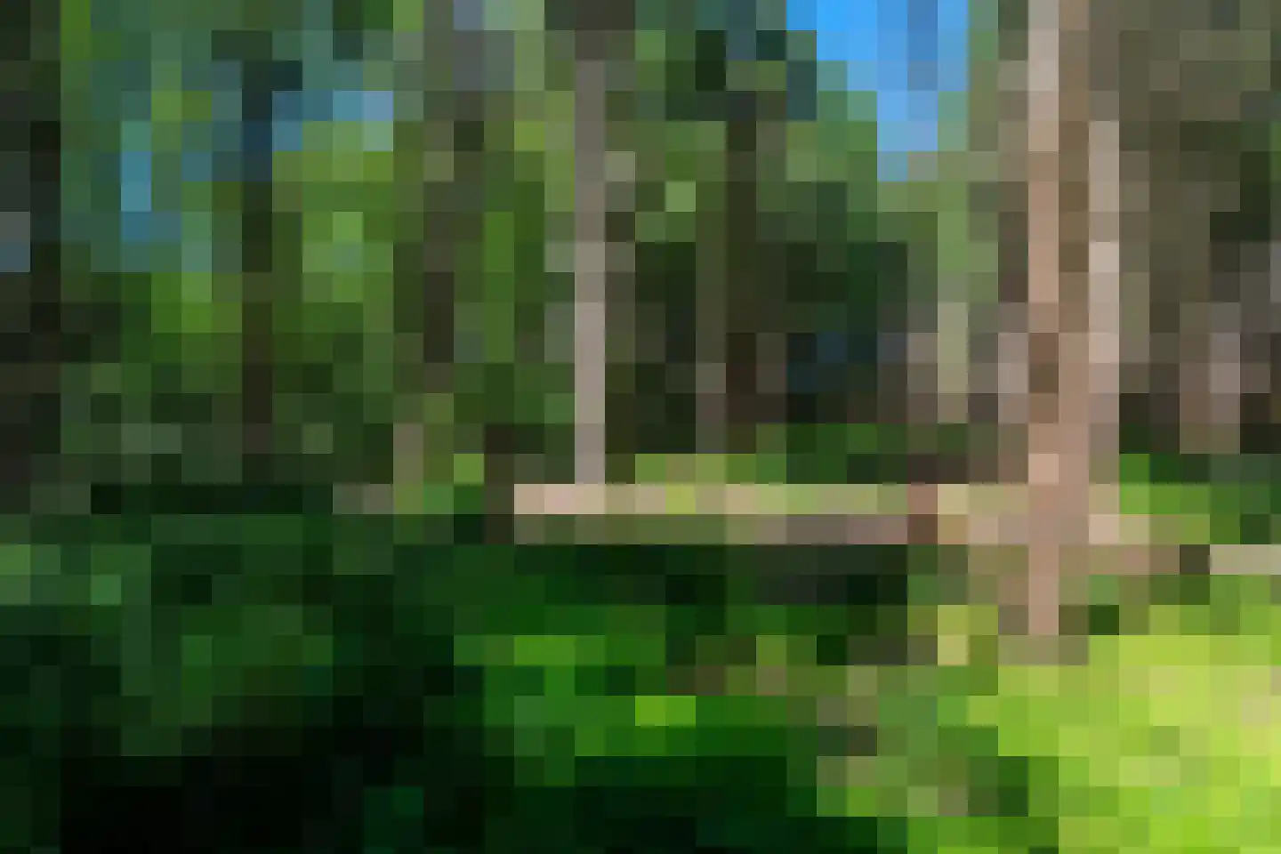 Verlengde Havinga's reed 3 Grootegast thumbnail 76