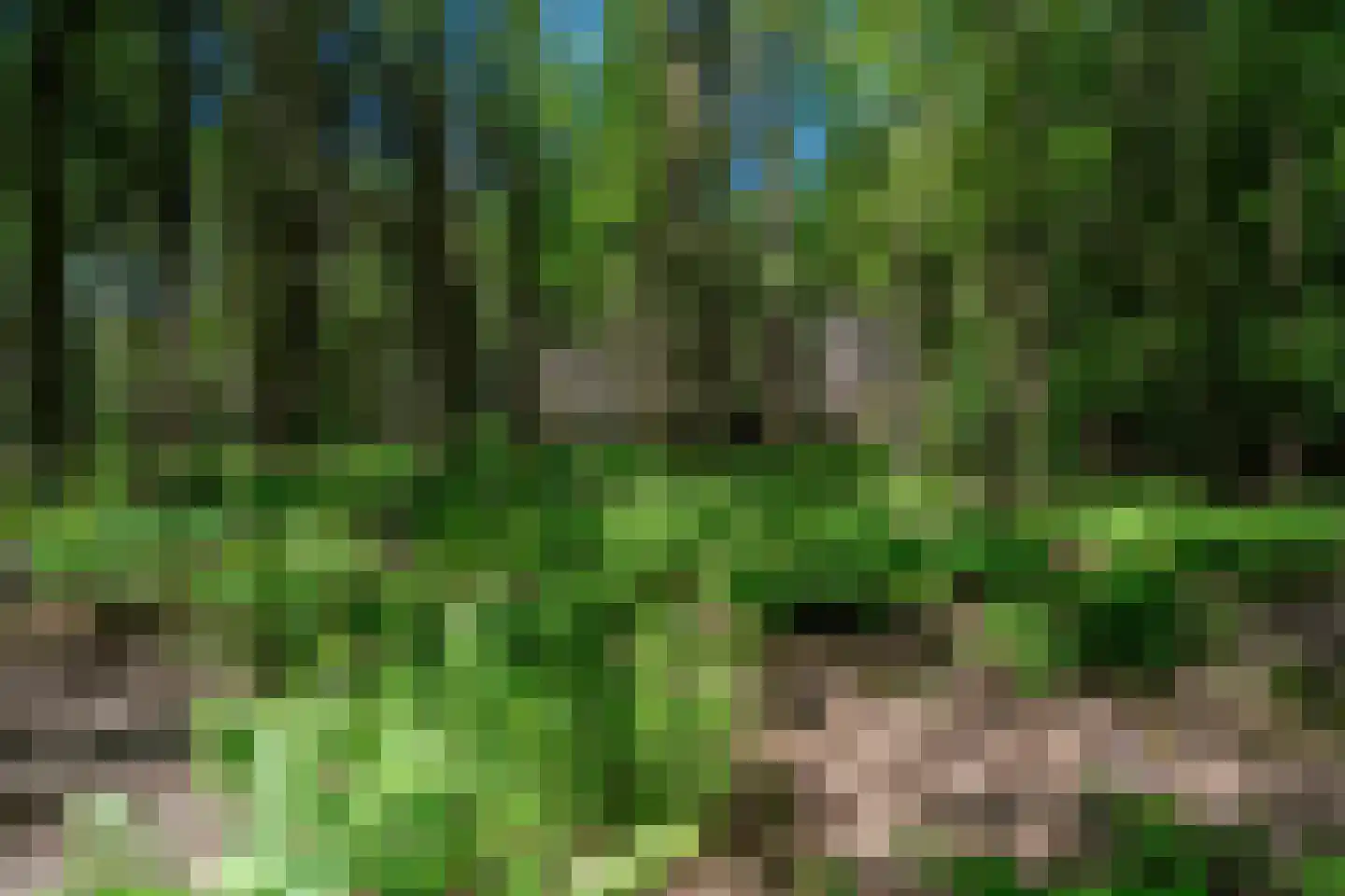 Verlengde Havinga's reed 3 Grootegast thumbnail 77