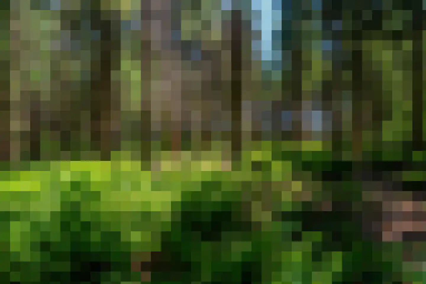 Verlengde Havinga's reed 3 Grootegast thumbnail 78