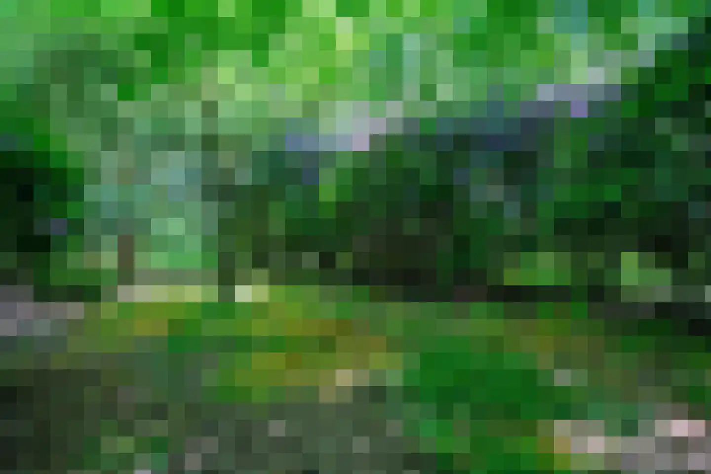 Verlengde Havinga's reed 3 Grootegast thumbnail 79
