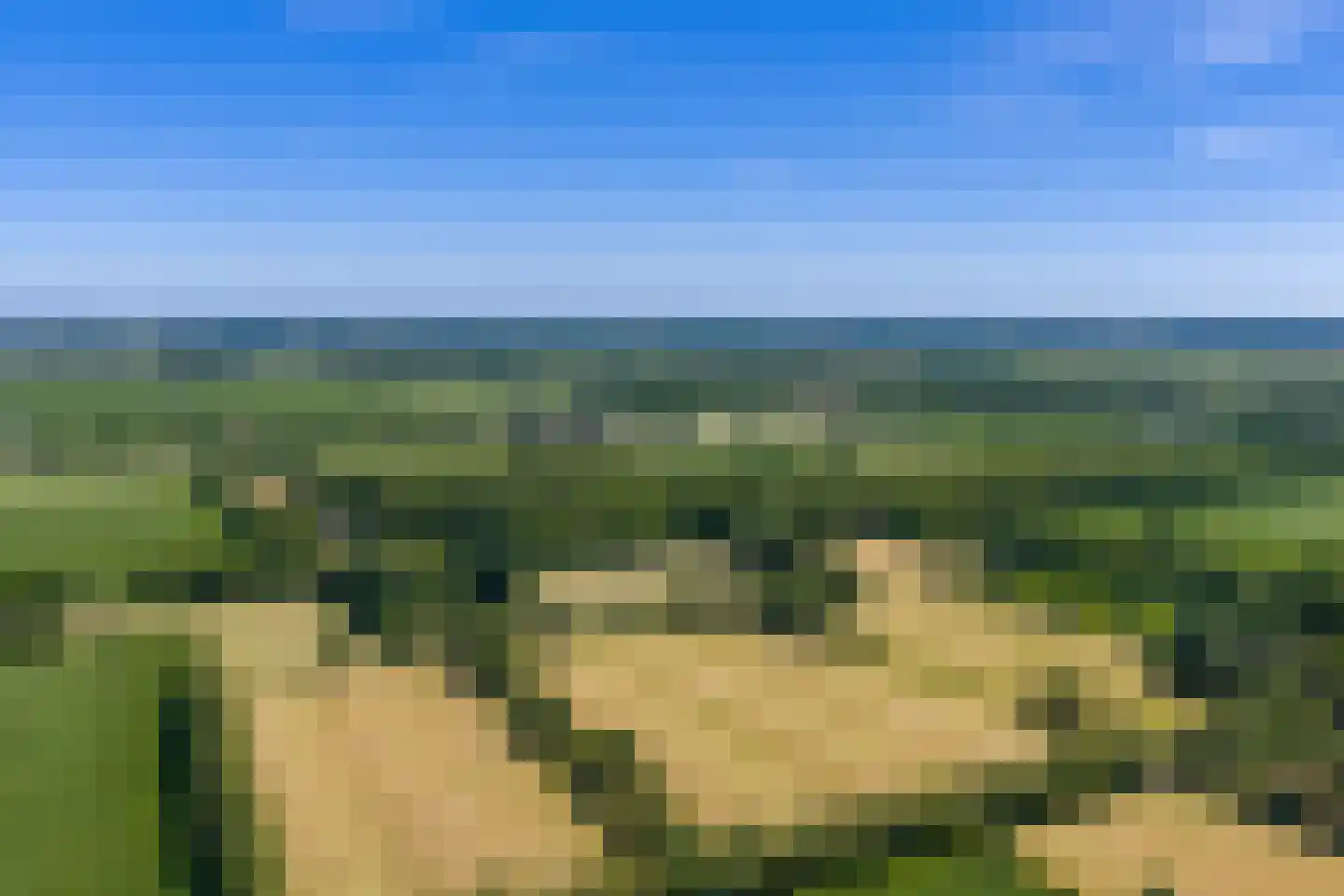 Verlengde Havinga's reed 3 Grootegast thumbnail 8