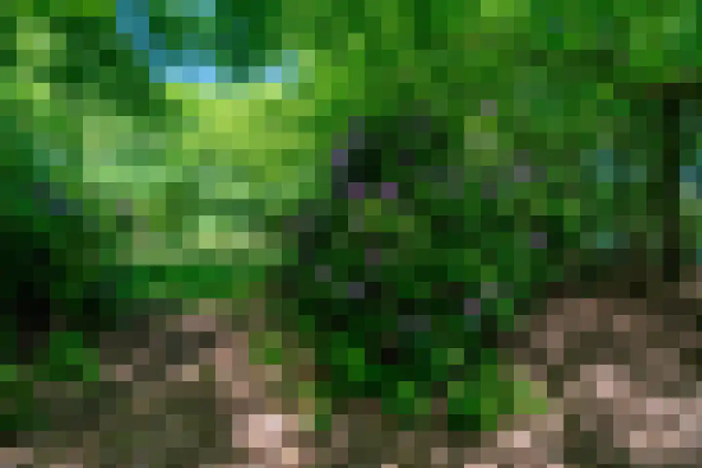 Verlengde Havinga's reed 3 Grootegast thumbnail 80