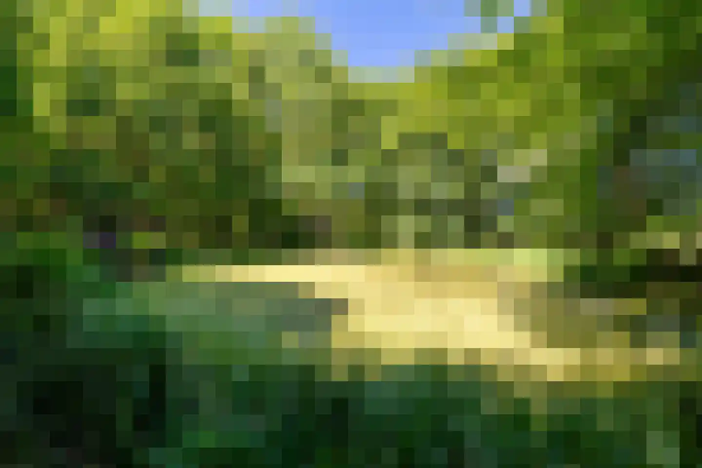 Verlengde Havinga's reed 3 Grootegast thumbnail 81