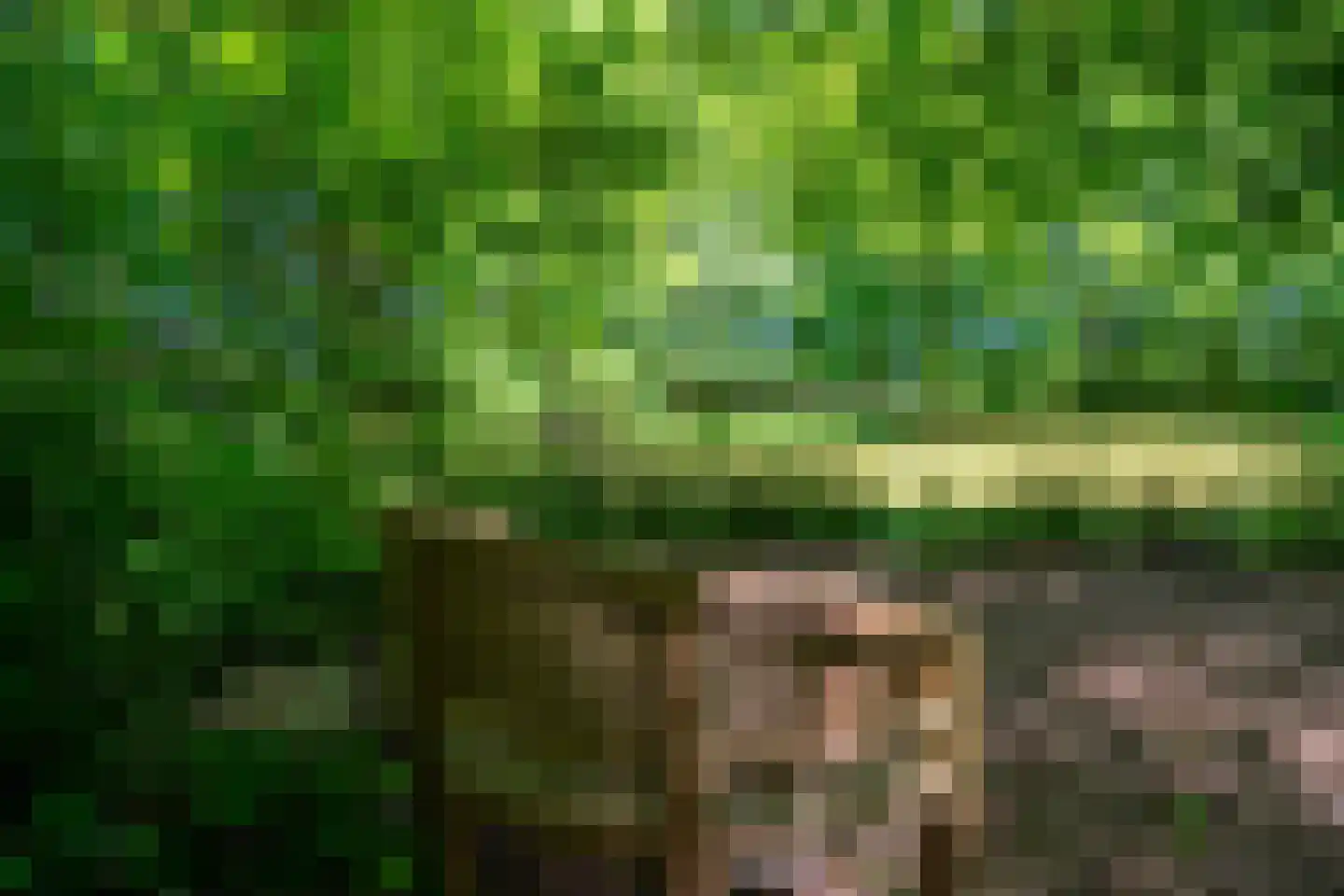 Verlengde Havinga's reed 3 Grootegast thumbnail 82