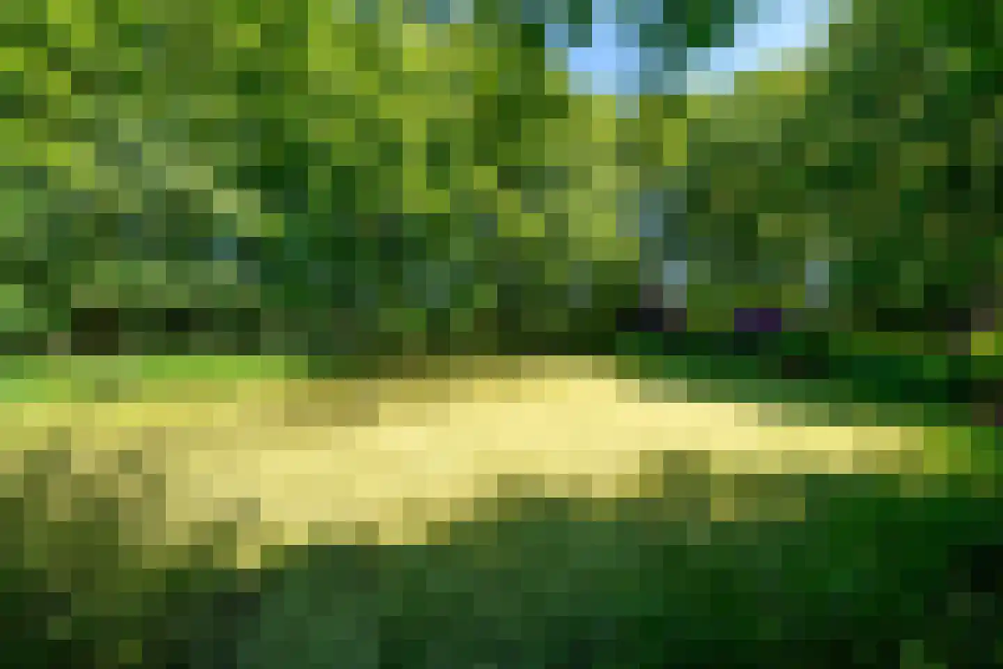 Verlengde Havinga's reed 3 Grootegast thumbnail 83