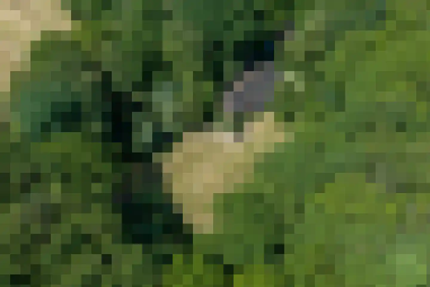 Verlengde Havinga's reed 3 Grootegast thumbnail 84