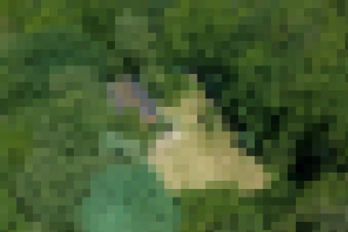 Verlengde Havinga's reed 3 Grootegast thumbnail 85