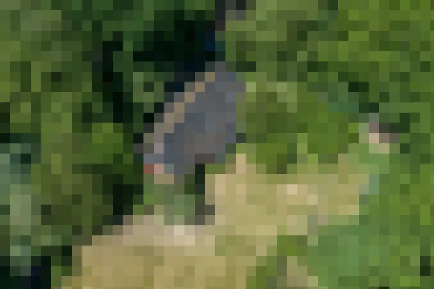 Verlengde Havinga's reed 3 Grootegast thumbnail 86
