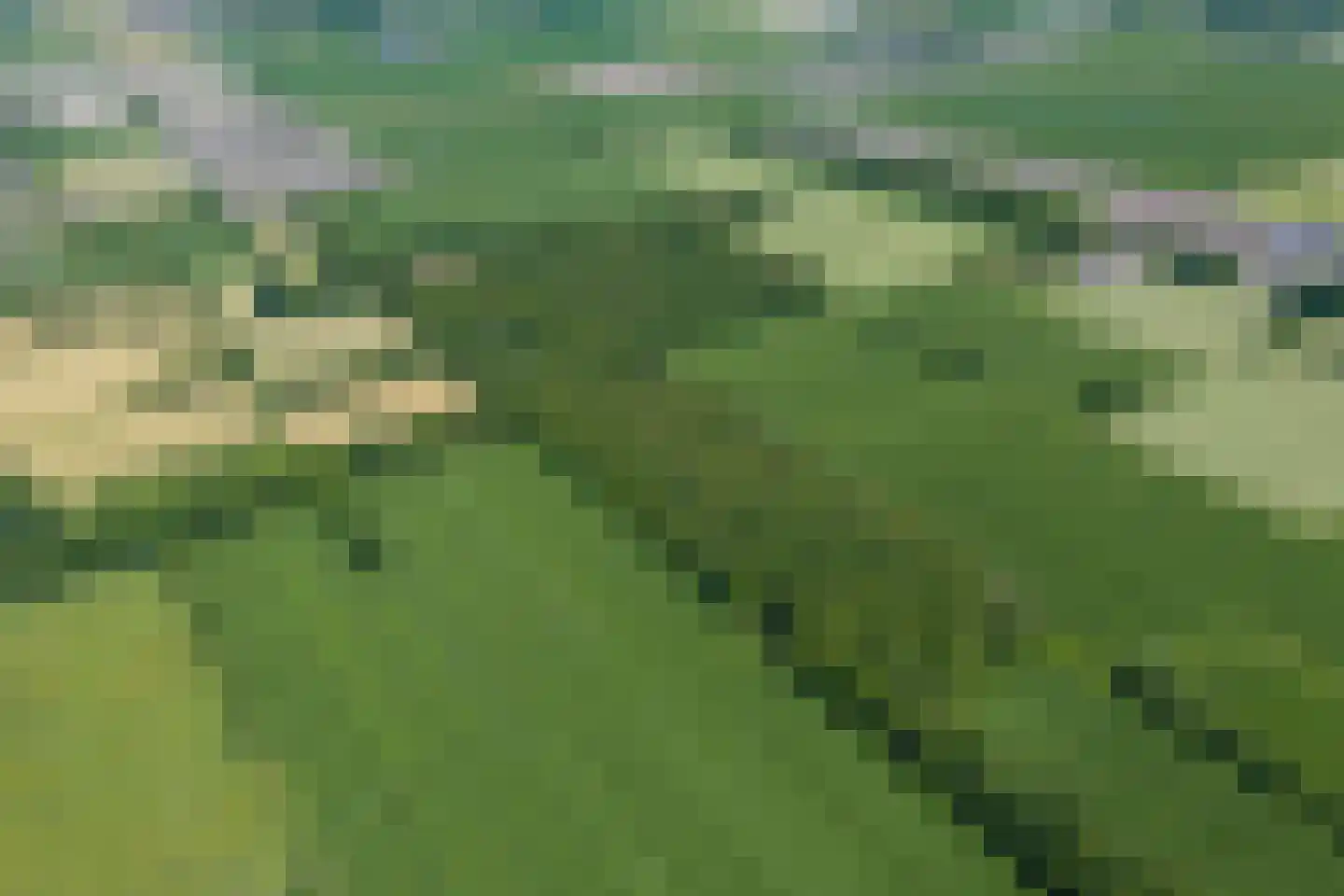 Verlengde Havinga's reed 3 Grootegast thumbnail 89
