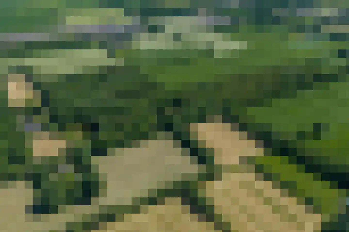 Verlengde Havinga's reed 3 Grootegast thumbnail 90
