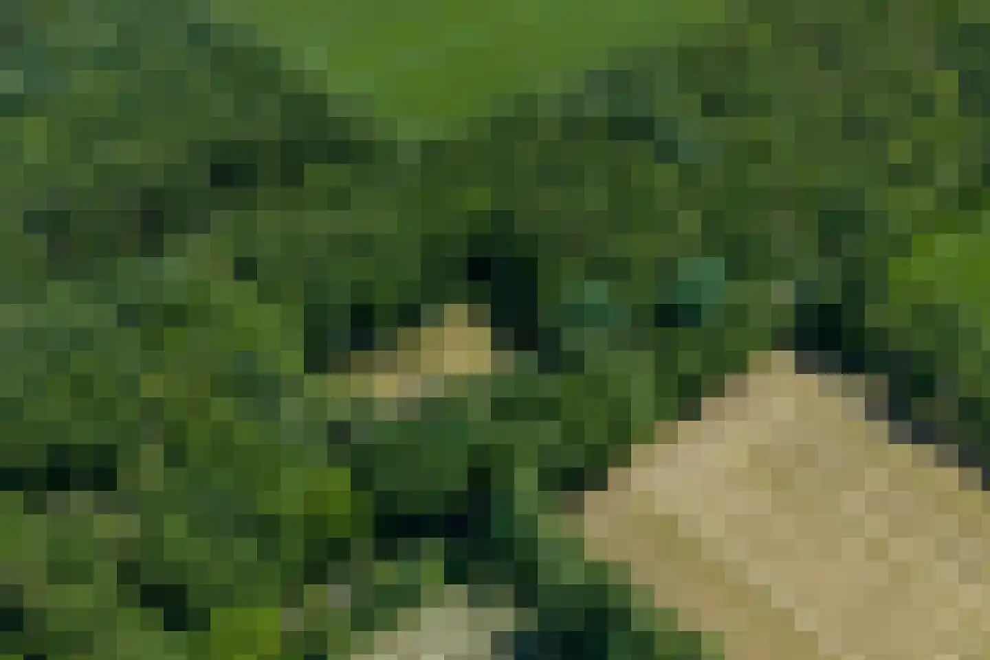 Verlengde Havinga's reed 3 Grootegast thumbnail 91