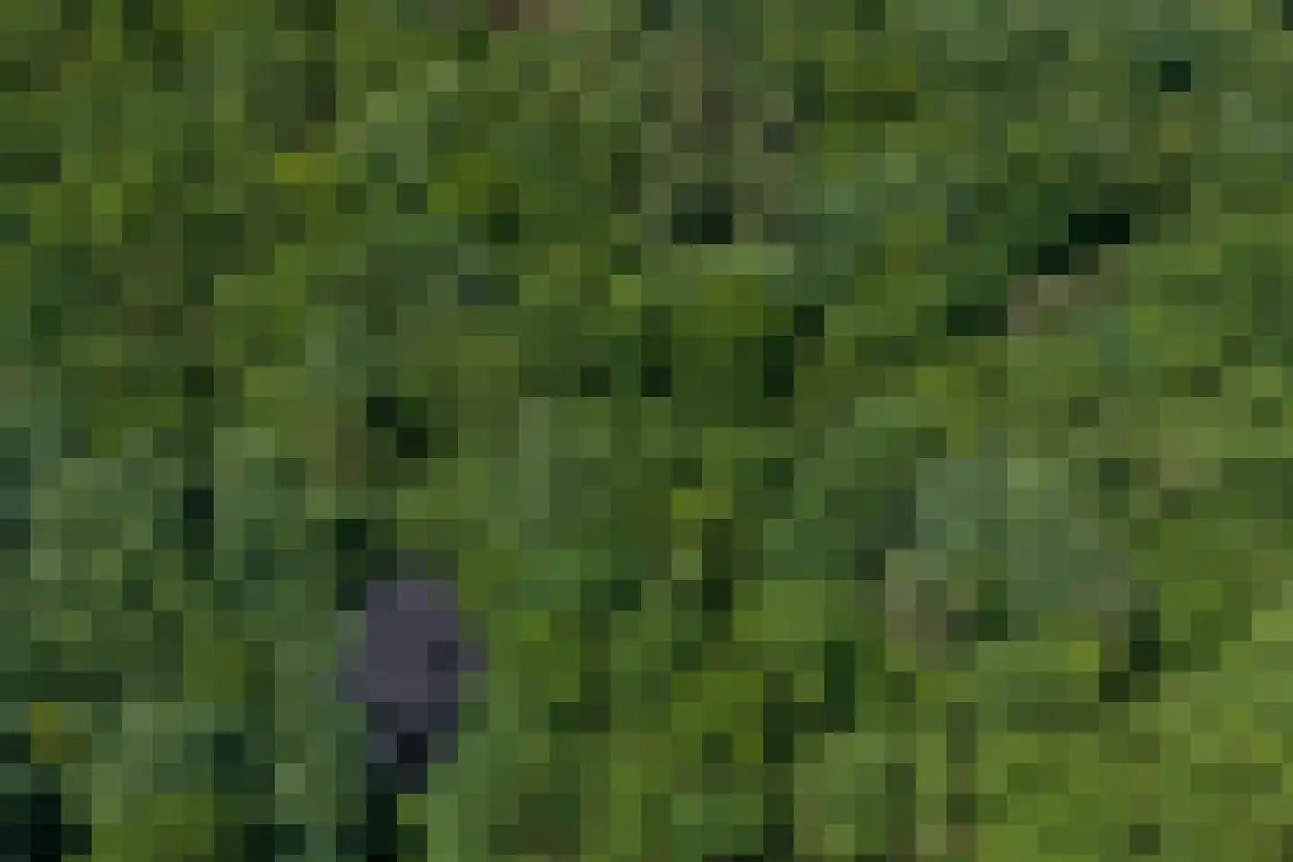 Verlengde Havinga's reed 3 Grootegast thumbnail 93