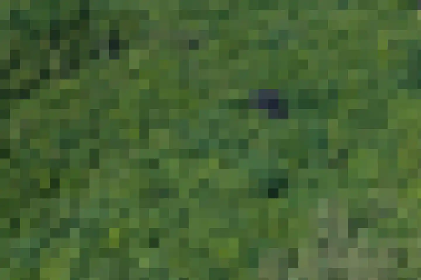 Verlengde Havinga's reed 3 Grootegast thumbnail 94