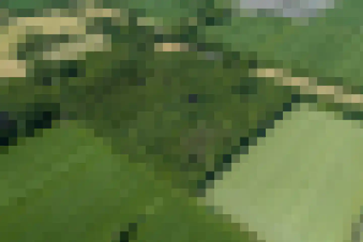Verlengde Havinga's reed 3 Grootegast thumbnail 95
