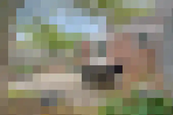 Verlengde Heinseweg 4 Sittard thumbnail 26
