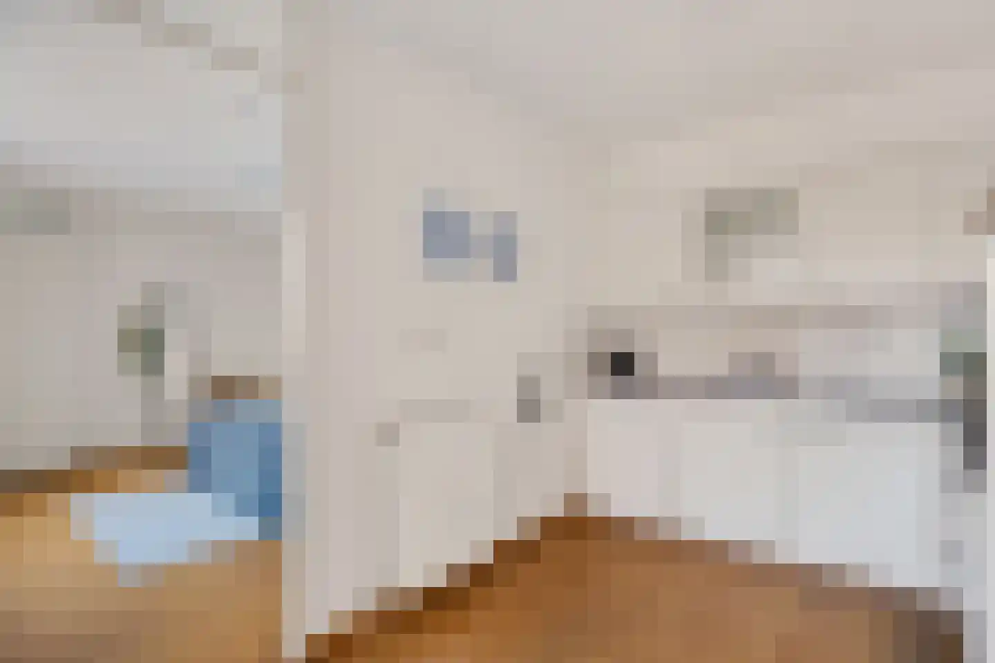 Verlengde Heischeutstraat 12 Oss thumbnail 17