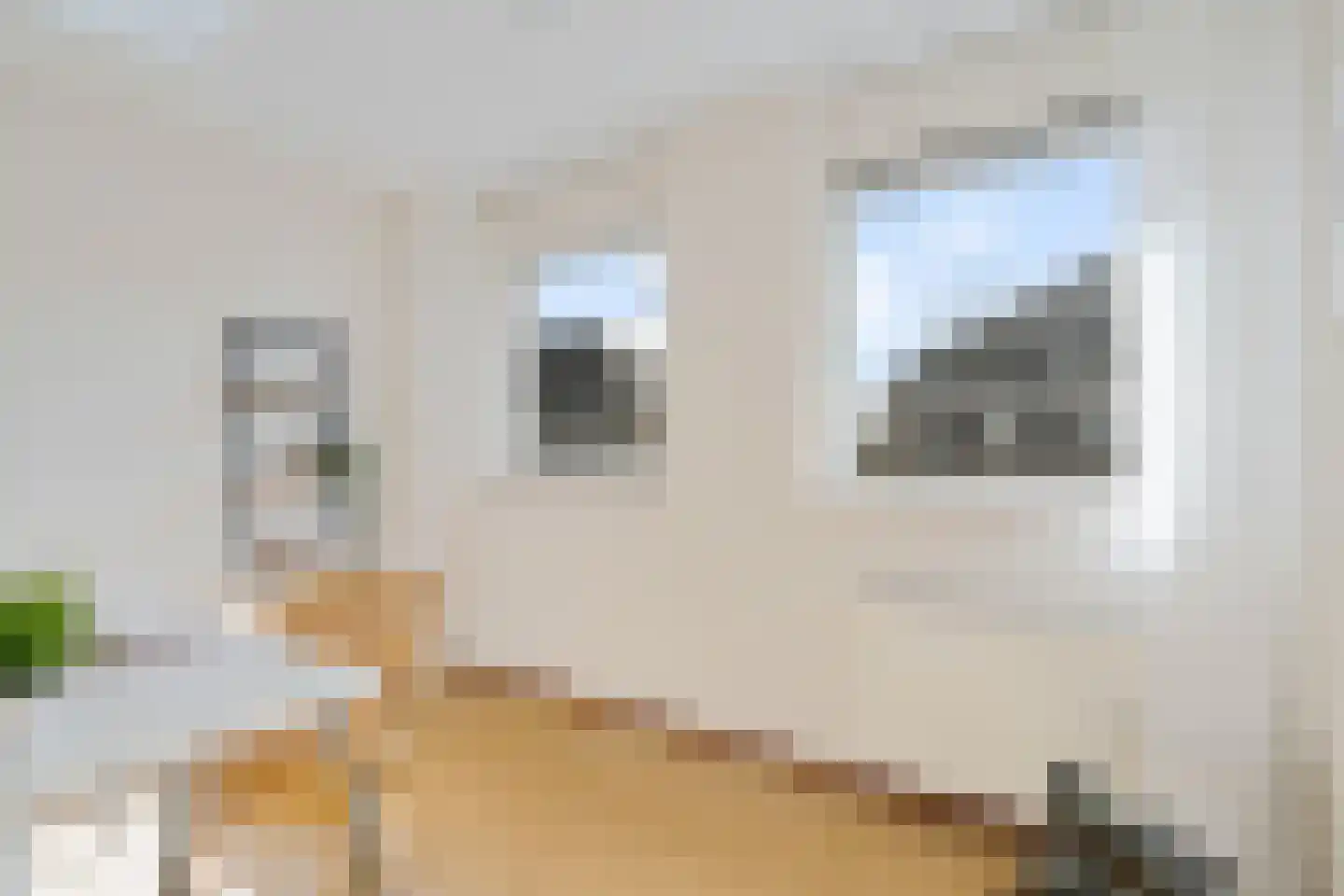 Verlengde Heischeutstraat 12 Oss thumbnail 26