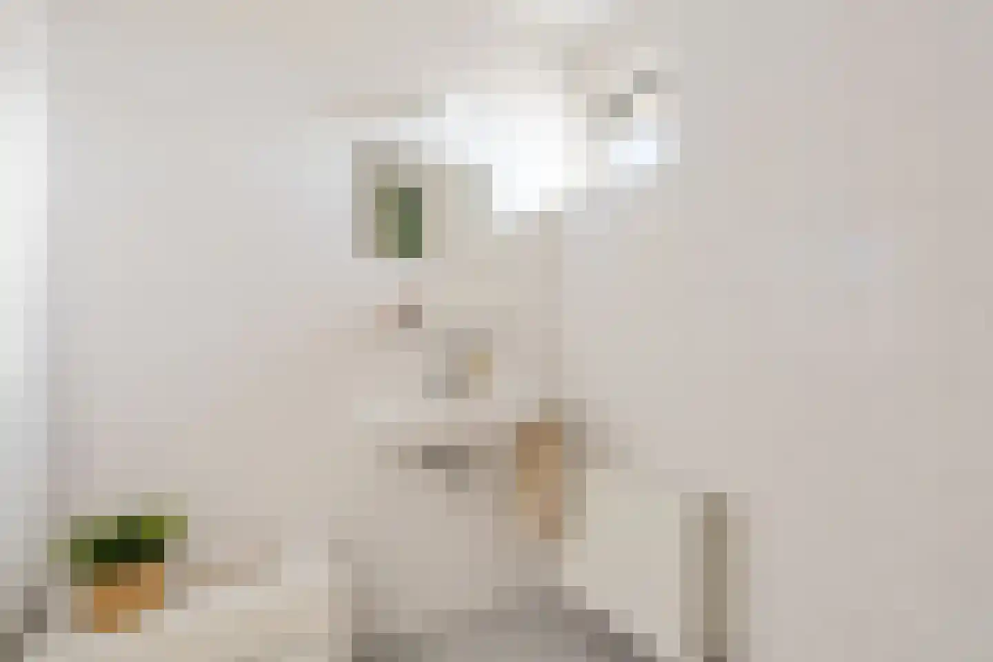 Verlengde Heischeutstraat 12 Oss thumbnail 32