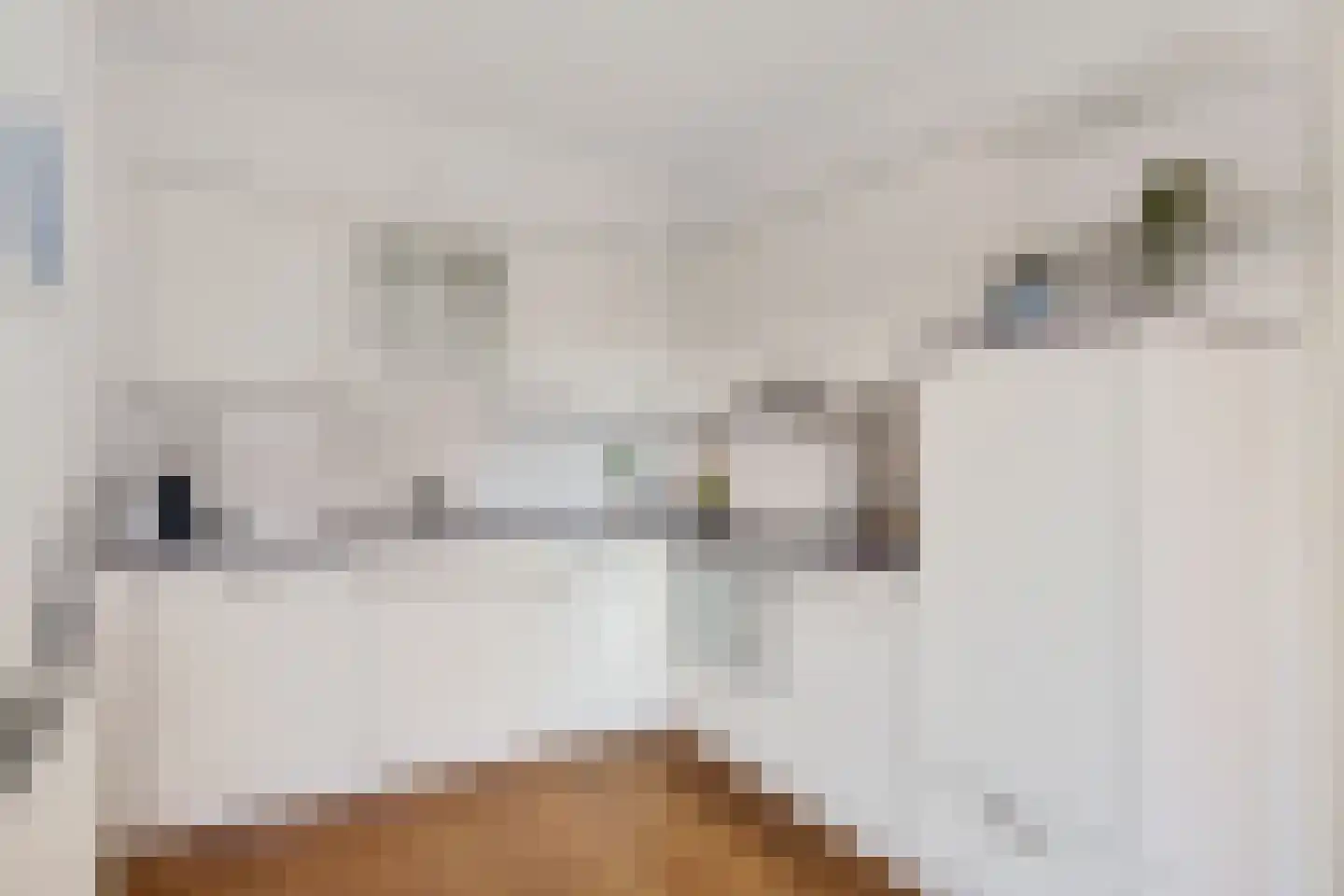 Verlengde Heischeutstraat 12 Oss thumbnail 4