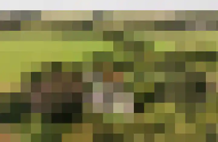 Verlengde Heistraat 5 in Sambeek