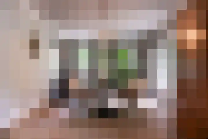 Verlengde Heistraat 5 Sambeek thumbnail 14