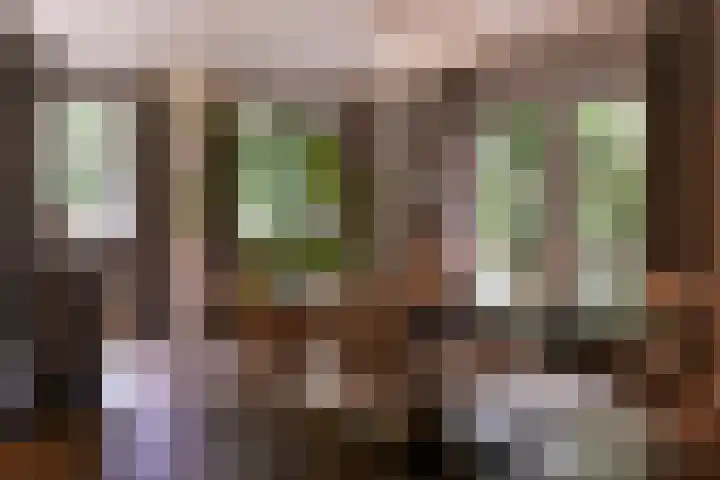 Verlengde Heistraat 5 Sambeek thumbnail 15