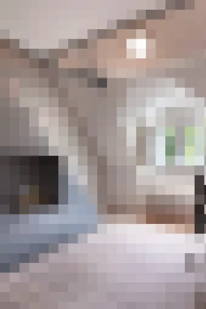 Verlengde Heistraat 5 Sambeek thumbnail 28