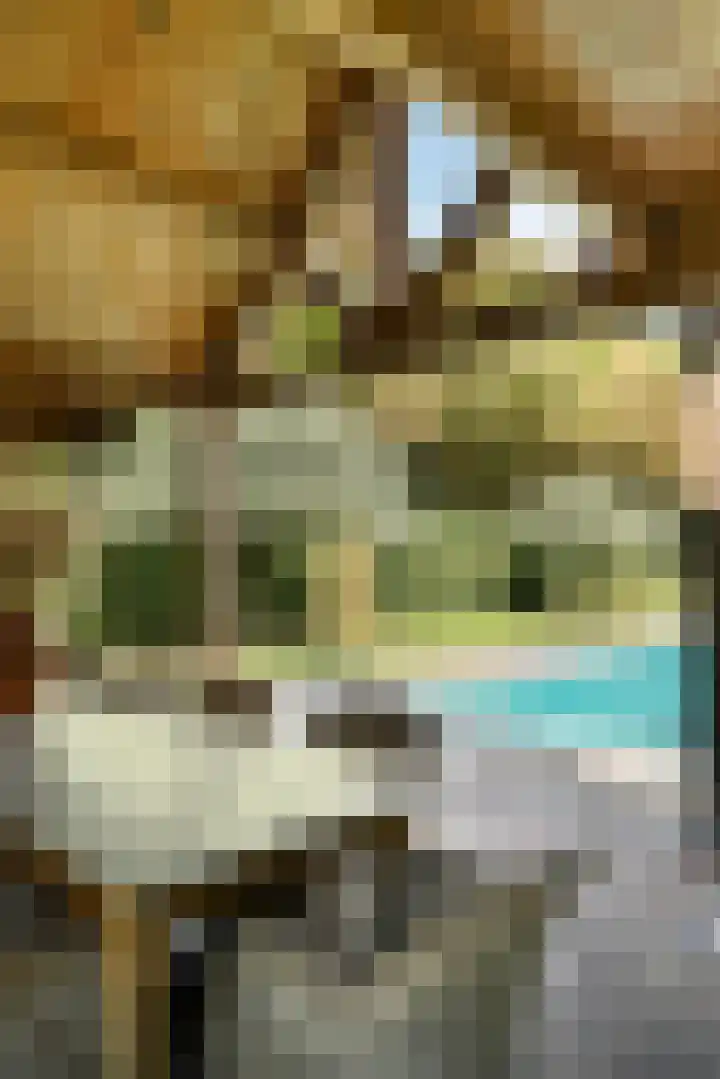 Verlengde Heistraat 5 Sambeek thumbnail 46