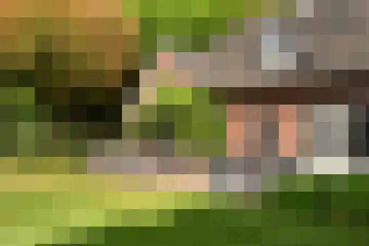 Verlengde Heistraat 5 Sambeek thumbnail 47
