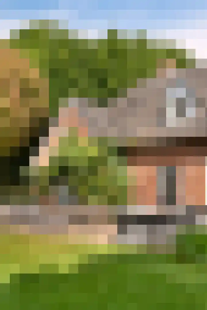 Verlengde Heistraat 5 Sambeek thumbnail 48